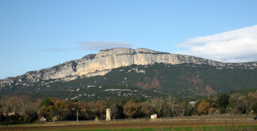 La montagne de l'Hortus au dessus des vignes.